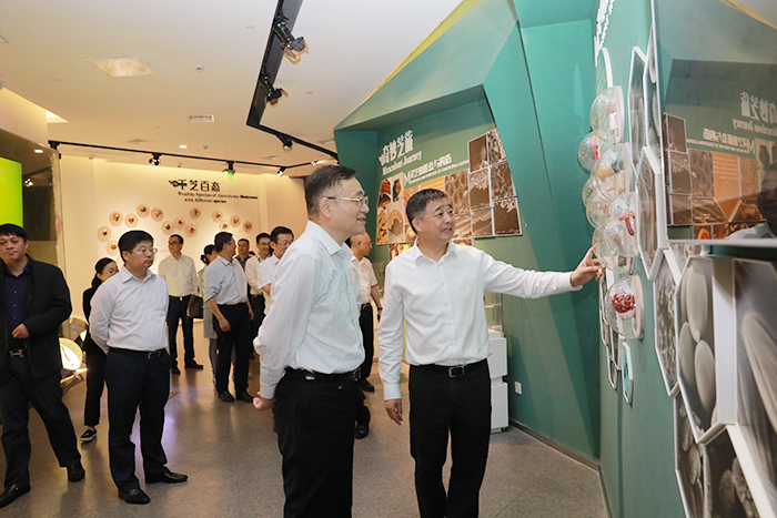 專(zhuān)題報(bào)道