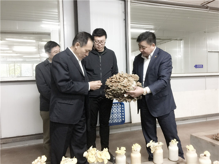 專(zhuān)題報(bào)道