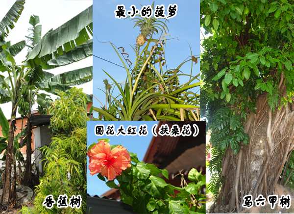 圖片關(guān)鍵詞 圖片關(guān)鍵詞