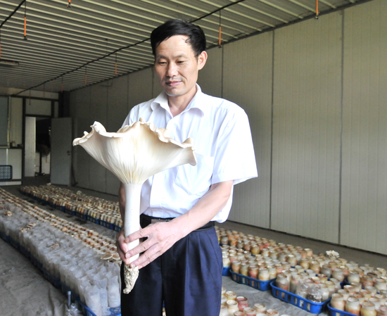 圖片關鍵詞 圖片關鍵詞