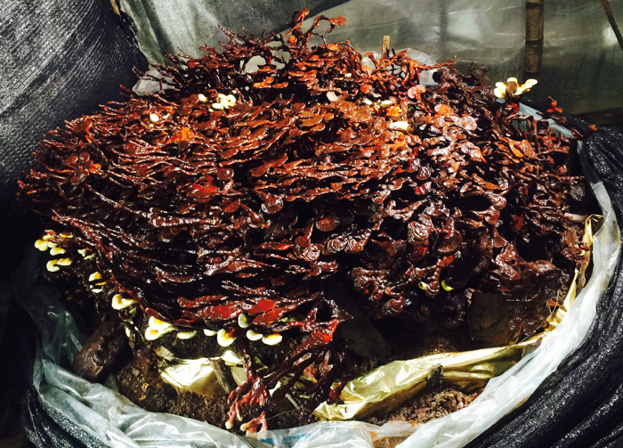 圖片關(guān)鍵詞 圖片關(guān)鍵詞