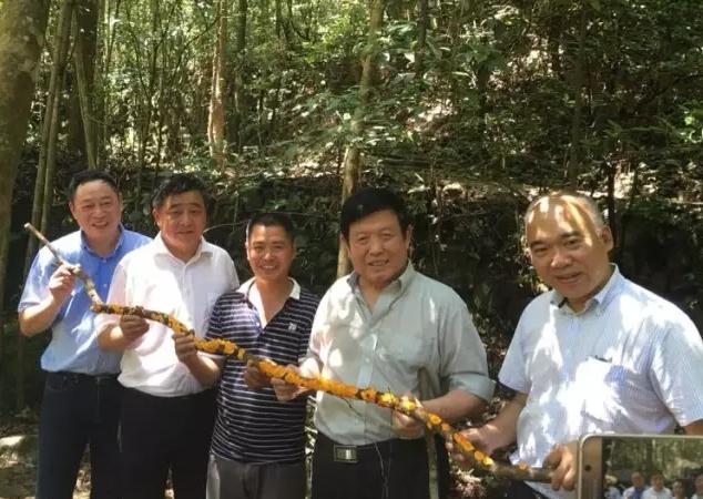 圖片關(guān)鍵詞 圖片關(guān)鍵詞