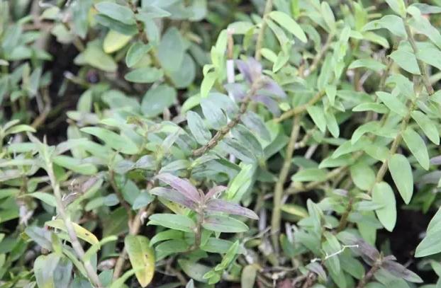 圖片關(guān)鍵詞 圖片關(guān)鍵詞