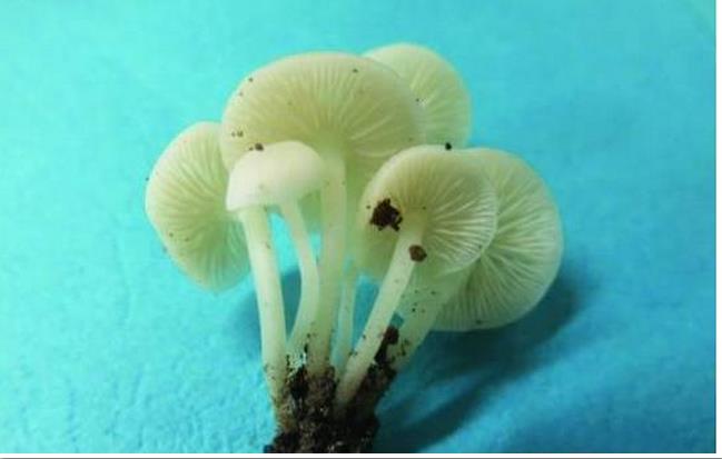 圖片關(guān)鍵詞 圖片關(guān)鍵詞