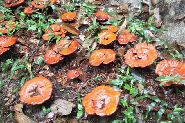 圖片關(guān)鍵詞 圖片關(guān)鍵詞