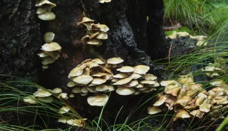 圖片關鍵詞 圖片關鍵詞