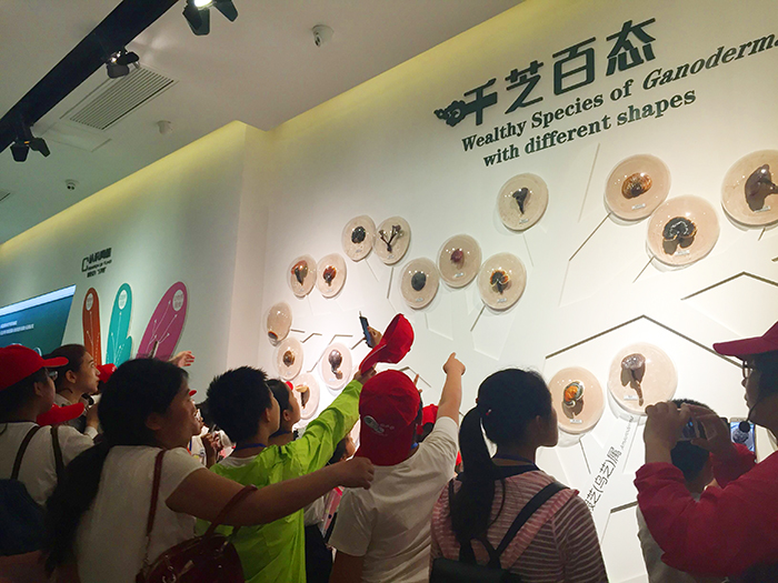 圖片關(guān)鍵詞 圖片關(guān)鍵詞