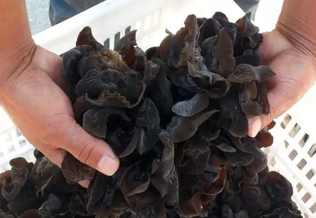 圖片關(guān)鍵詞 圖片關(guān)鍵詞