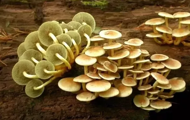 圖片關(guān)鍵詞 圖片關(guān)鍵詞