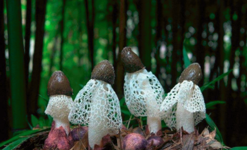 圖片關鍵詞 http://m.cookecustomcabinetry.com/ewebeditor/uploadfile/20180828110329835001.png