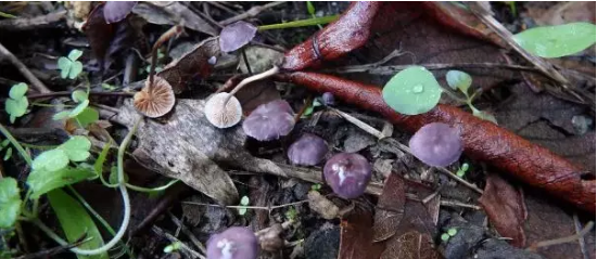 圖片關(guān)鍵詞 圖片關(guān)鍵詞