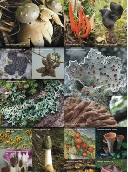 圖片關(guān)鍵詞 圖片關(guān)鍵詞