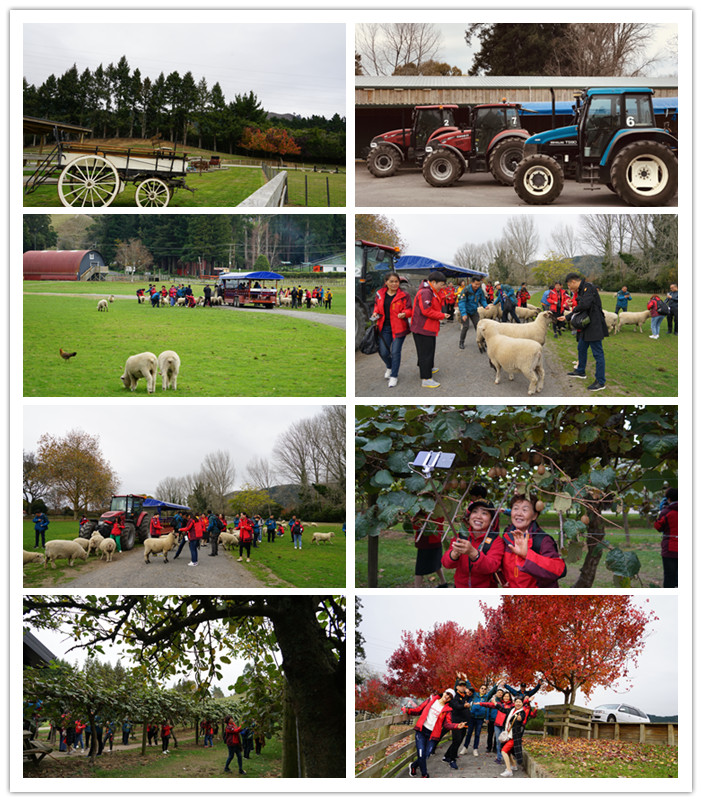 圖片關(guān)鍵詞 圖片關(guān)鍵詞