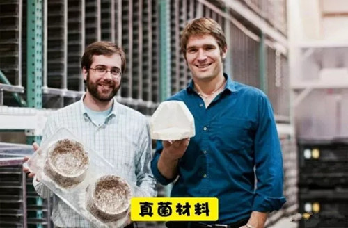 圖片關鍵詞 http://www.mushroommarket.net/file/upload/201911/18/15-20-40-34-283825.jpg