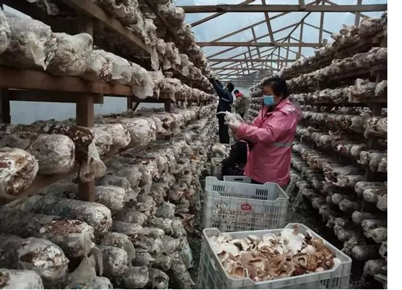 圖片關鍵詞 圖片關鍵詞