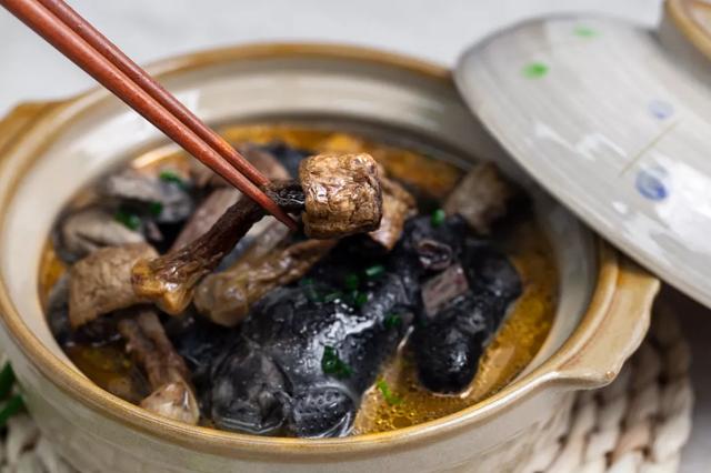 國家蘑菇地理：中國哪里的蘑菇最好吃？