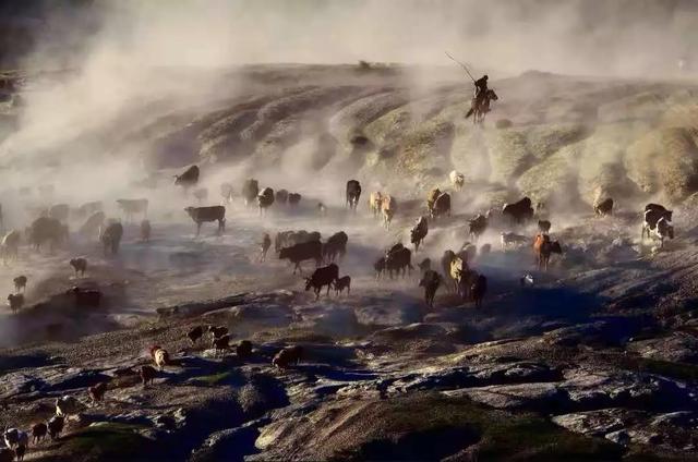 國家蘑菇地理：中國哪里的蘑菇最好吃？