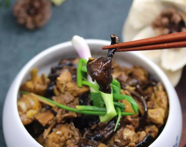 國家蘑菇地理：中國哪里的蘑菇最好吃？