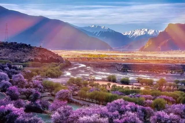 國家蘑菇地理：中國哪里的蘑菇最好吃？