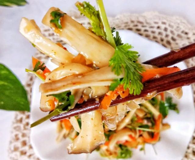 國家蘑菇地理：中國哪里的蘑菇最好吃？