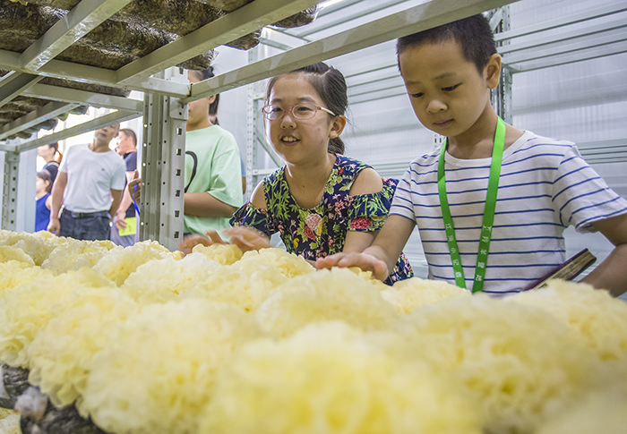 圖片關(guān)鍵詞 圖片關(guān)鍵詞