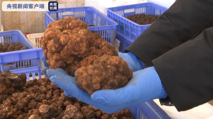 圖片關(guān)鍵詞 圖片