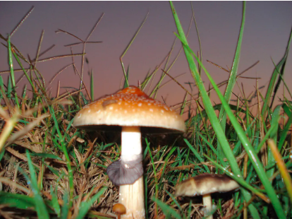 圖片關(guān)鍵詞 圖片關(guān)鍵詞