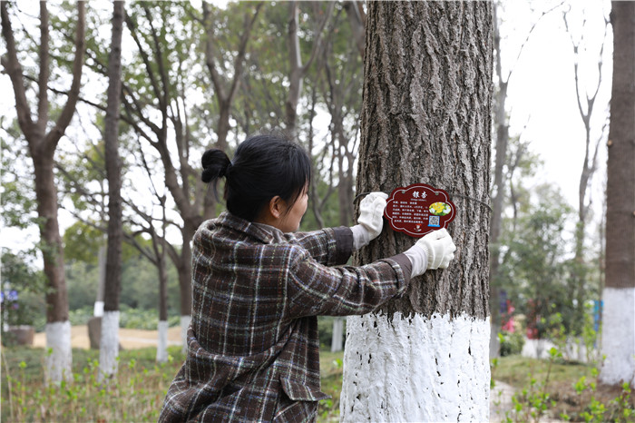 圖片關(guān)鍵詞 圖片關(guān)鍵詞