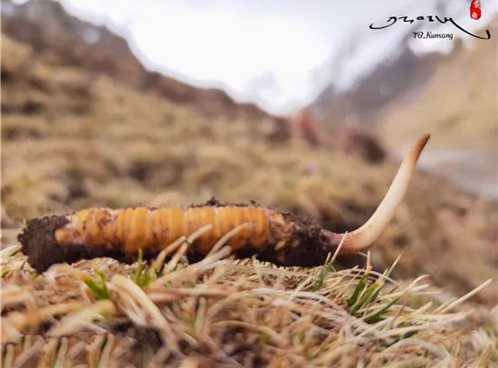 圖片關(guān)鍵詞 圖片