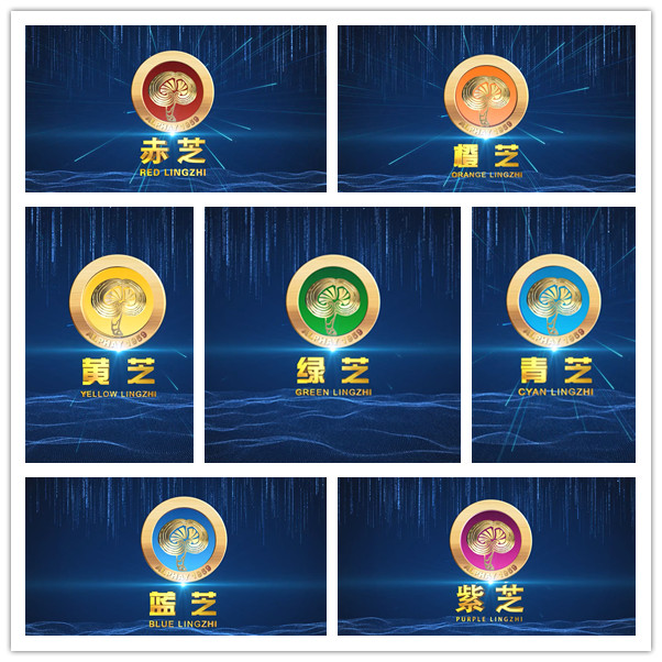 1672037590126114.jpg 555.jpg