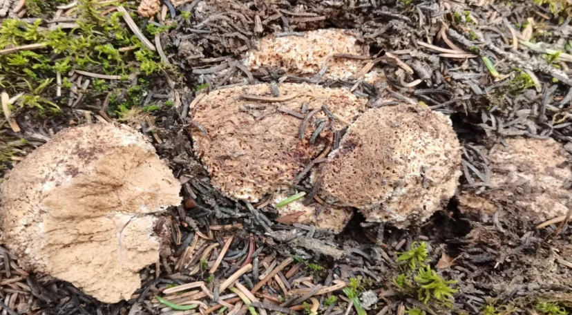 圖片關(guān)鍵詞 圖片關(guān)鍵詞