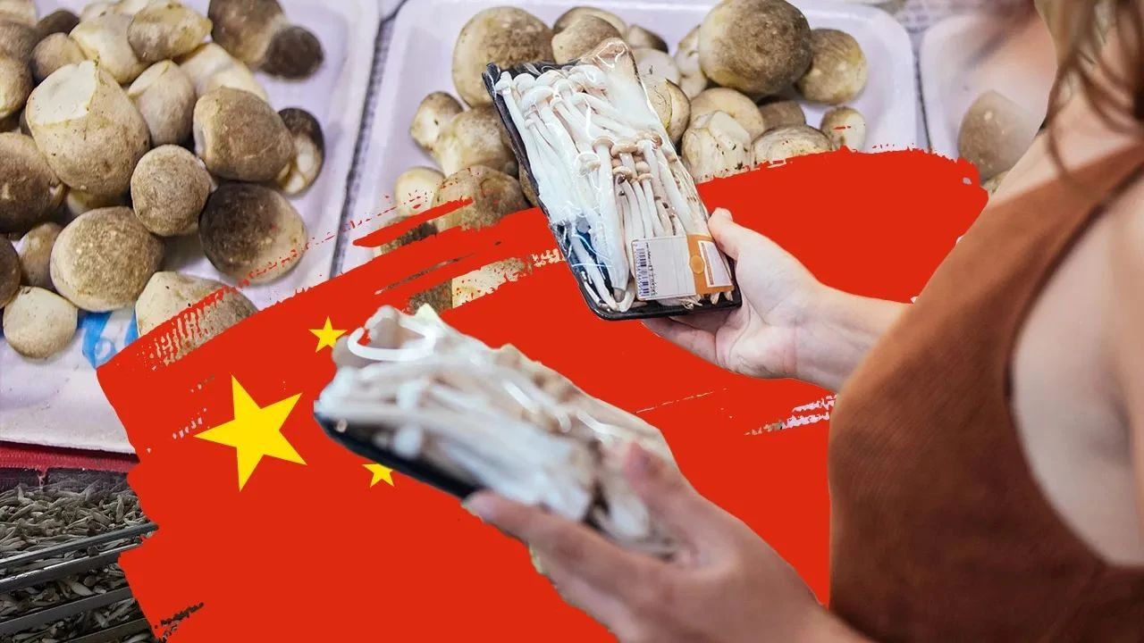 圖片關(guān)鍵詞