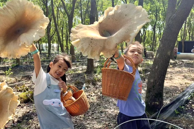 圖片關(guān)鍵詞 圖片關(guān)鍵詞
