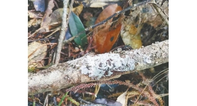 行業(yè)動(dòng)態(tài)