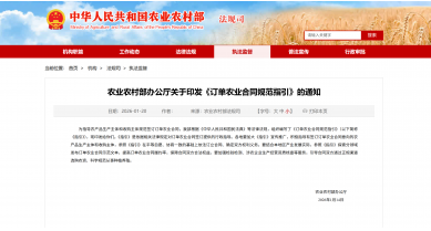 行業(yè)動態(tài)