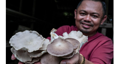 行業(yè)動(dòng)態(tài)