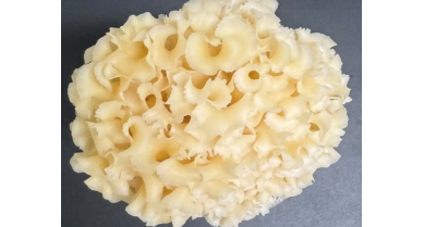 行業(yè)動(dòng)態(tài)