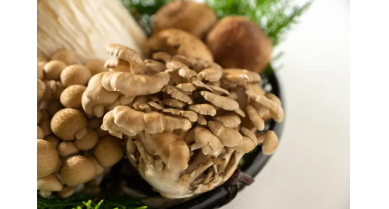 行業(yè)動態(tài)